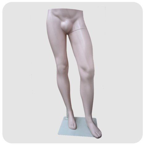 Brazilian Half Body Mannequin (Male)