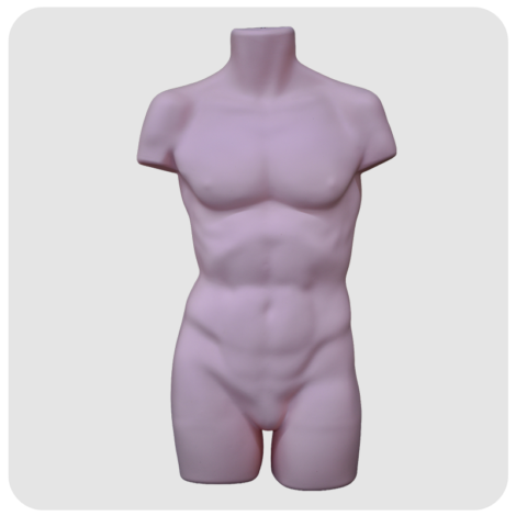 Extended Male Torso