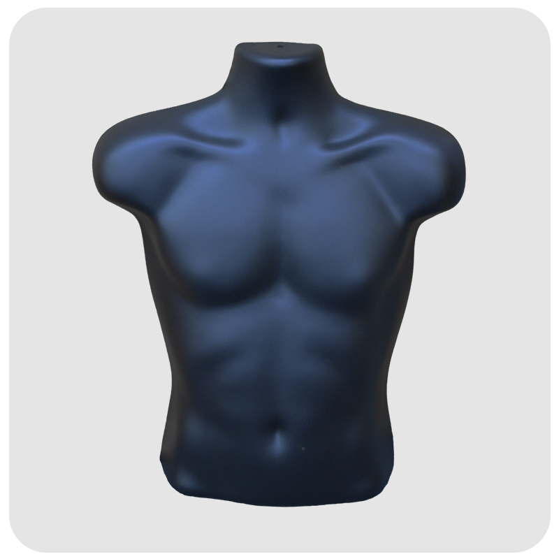 Male Torsos