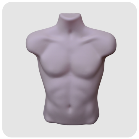 Male Torso Mannequin