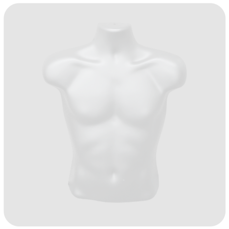 White Male Torso Mannequin
