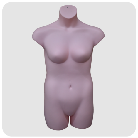 Curved Female Torso