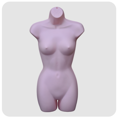 Female Torso Mannequin