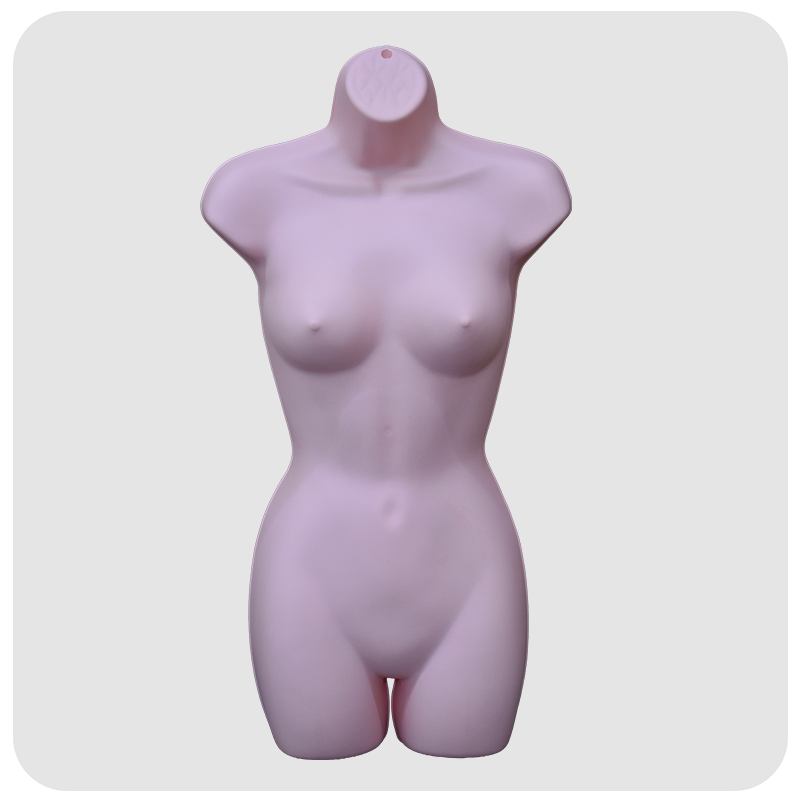 Female Torsos